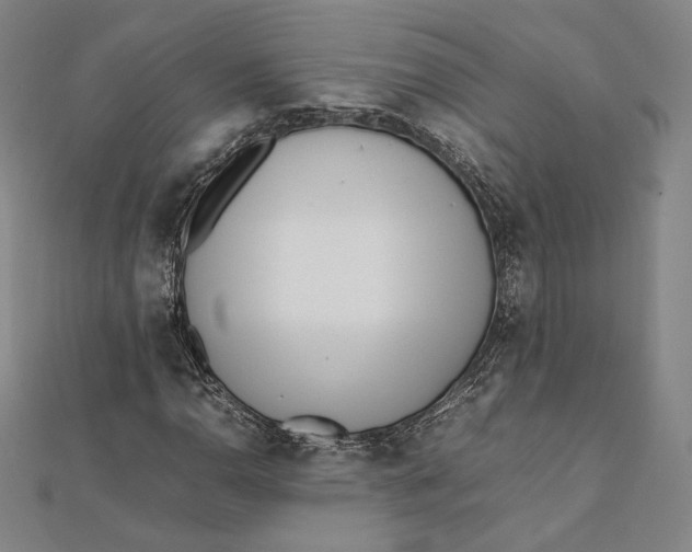 X0000112051110200908250952