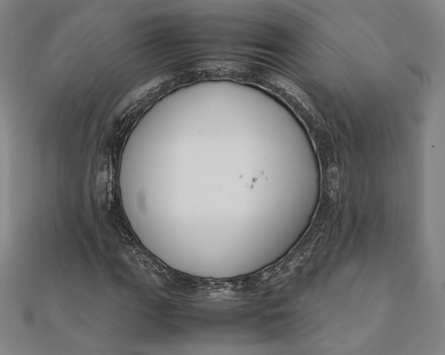 X0000112051111200908250952