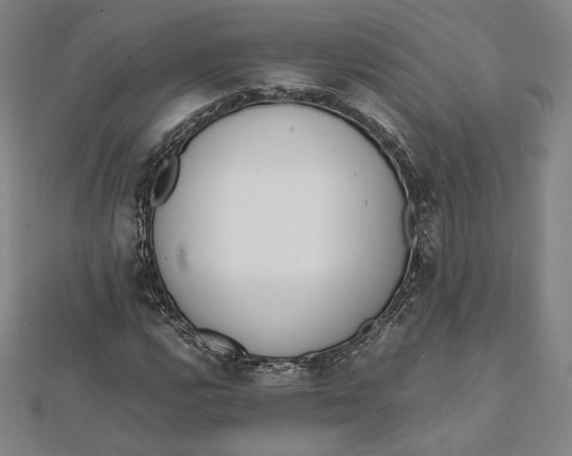 X0000112051112200908250952