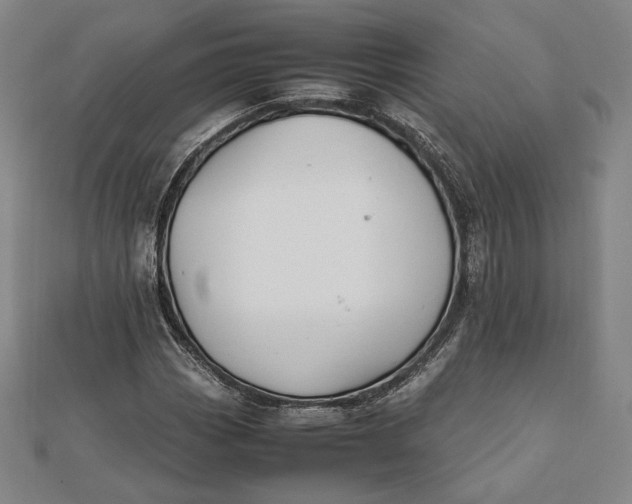 X0000112051113200908250952