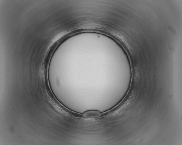 X0000112051114200908250952