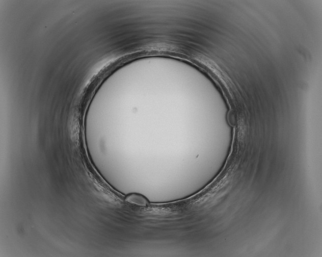 X0000112051115200908250952