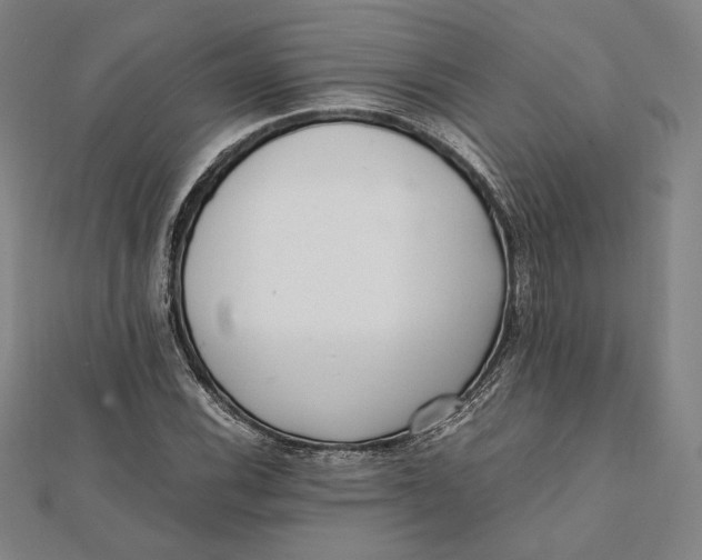 X0000112051116200908250952