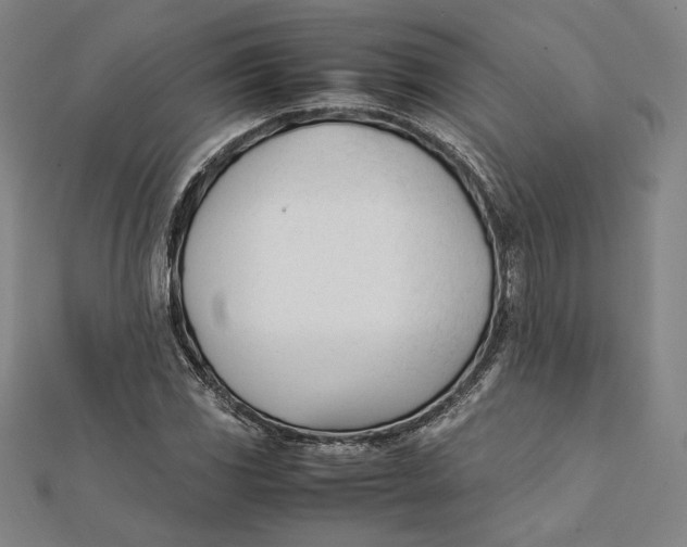 X0000112051117200908250952