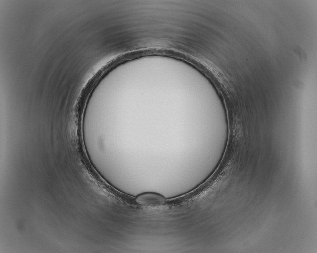 X0000112051118200908250952