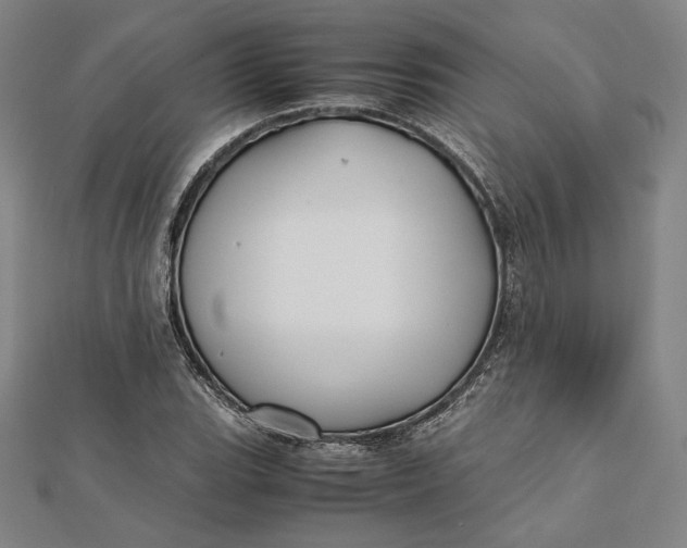 X0000112051119200908250952