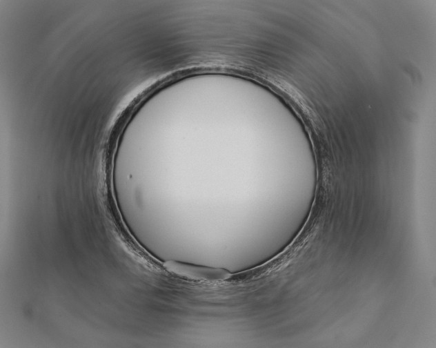 X0000112051120200908250952