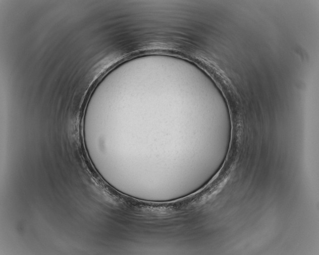 X0000112051121200908250952