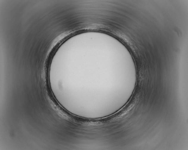 X0000112051122200908250952