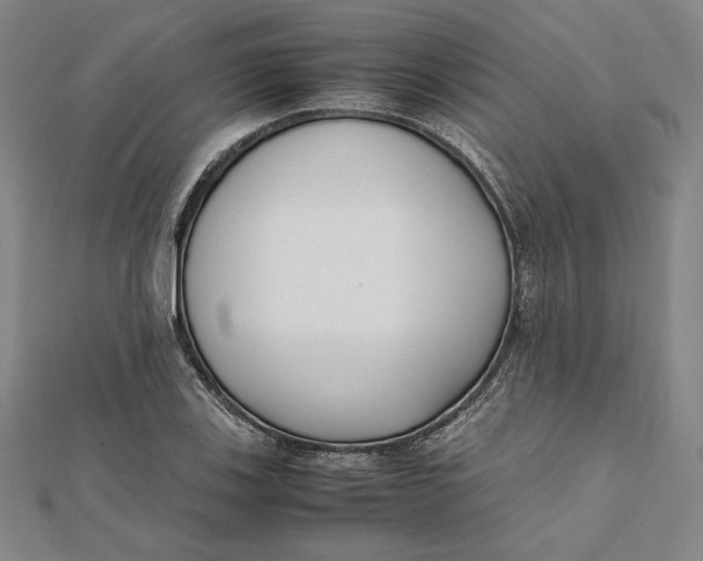 X0000112051123200908250952