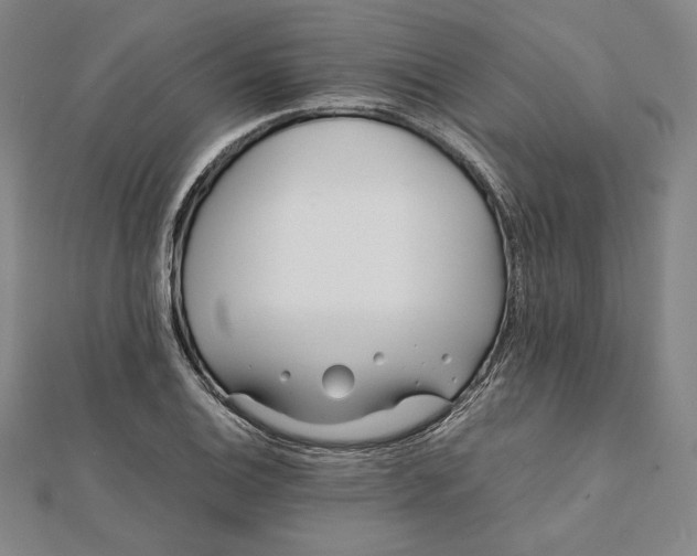 X0000112051124200908250952