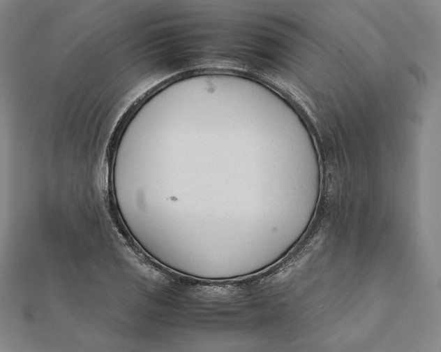 X0000112051125200908250952