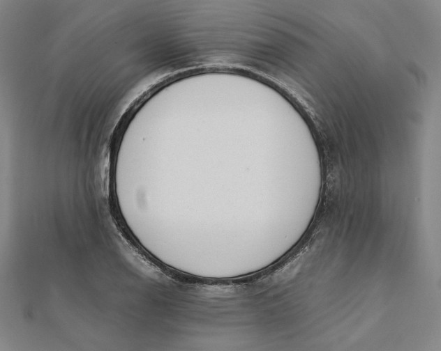 X0000112051126200908250952