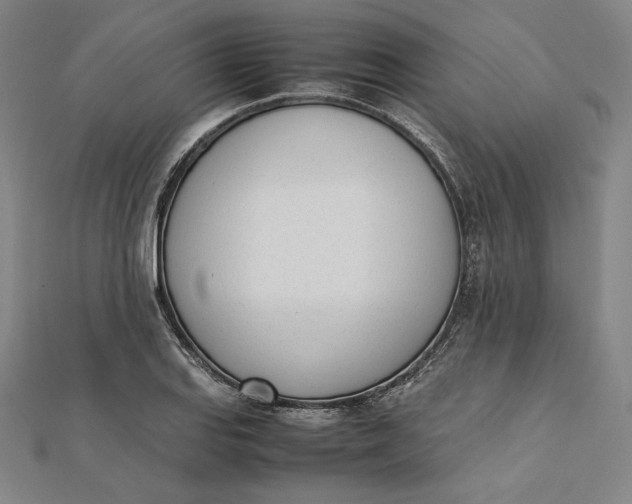 X0000112051127200908250952