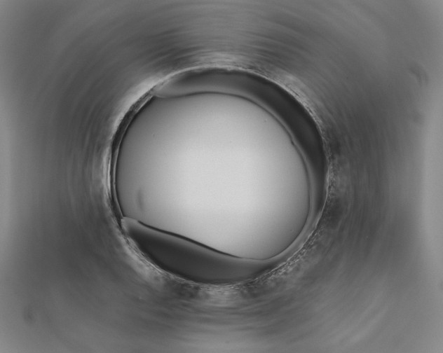 X0000112051128200908250952