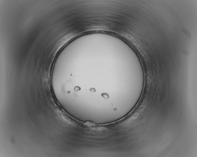 X0000112051129200908250952