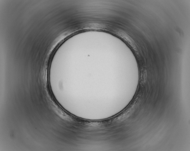 X0000112051130200908250952