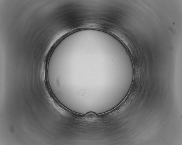 X0000112051131200908250952