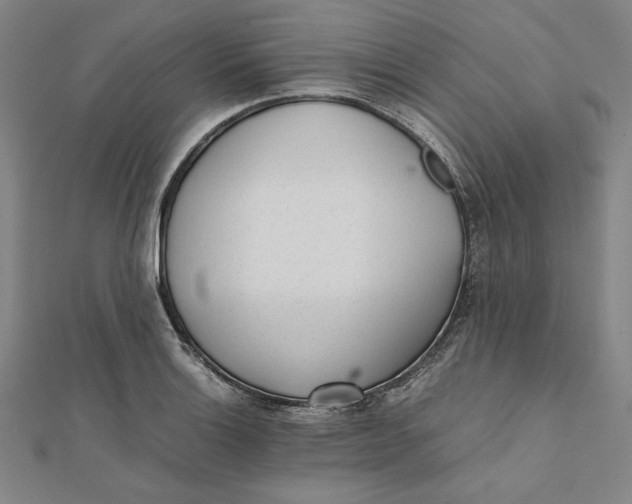 X0000112051132200908250952