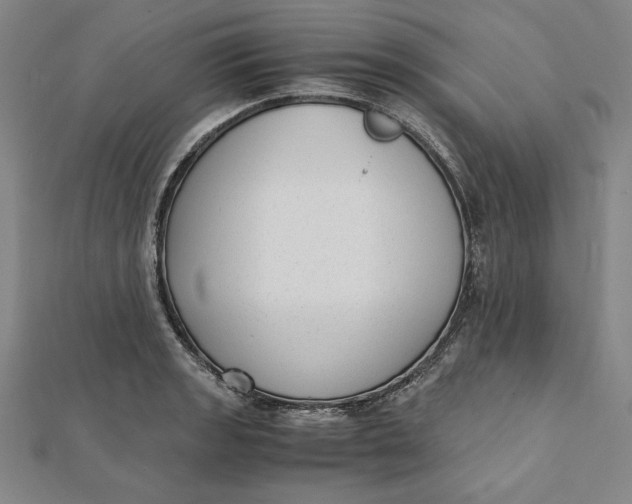 X0000112051133200908250952