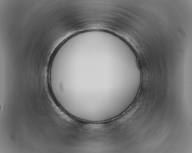 X0000112051134200908250952