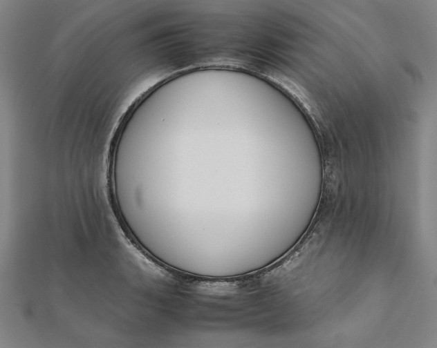 X0000112051135200908250952