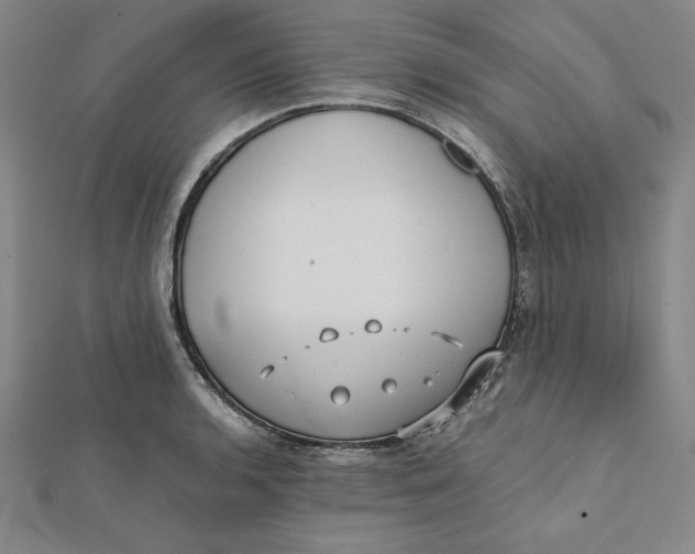 X0000112051136200908250952