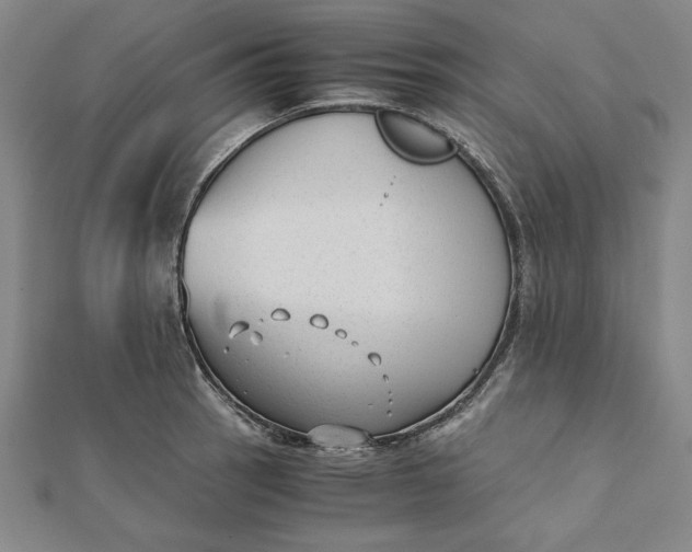 X0000112051137200908250952