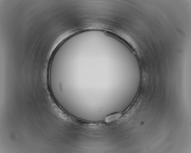 X0000112051138200908250952