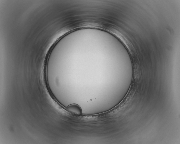 X0000112051139200908250952