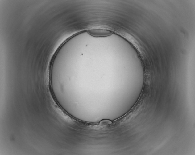 X0000112051140200908250952