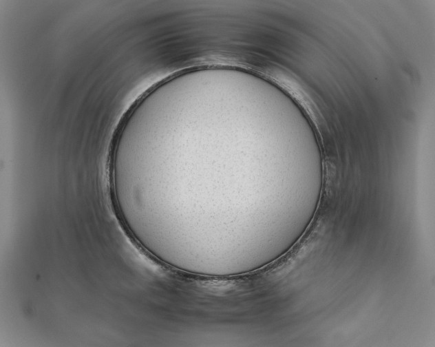 X0000112051141200908250952