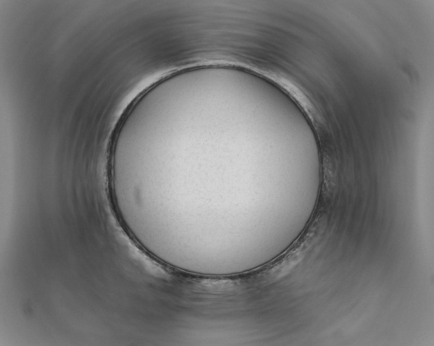 X0000112051142200908250952