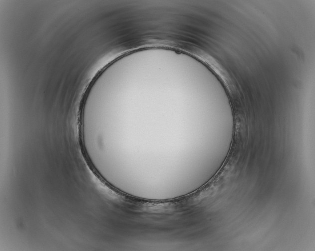 X0000112051143200908250952