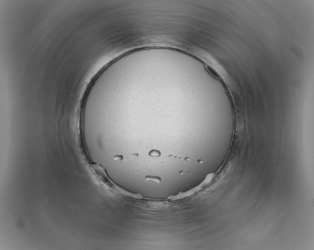 X0000112051144200908250952