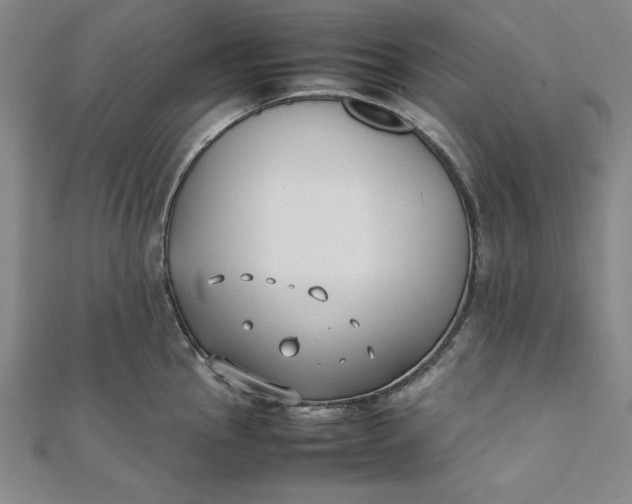 X0000112051145200908250952