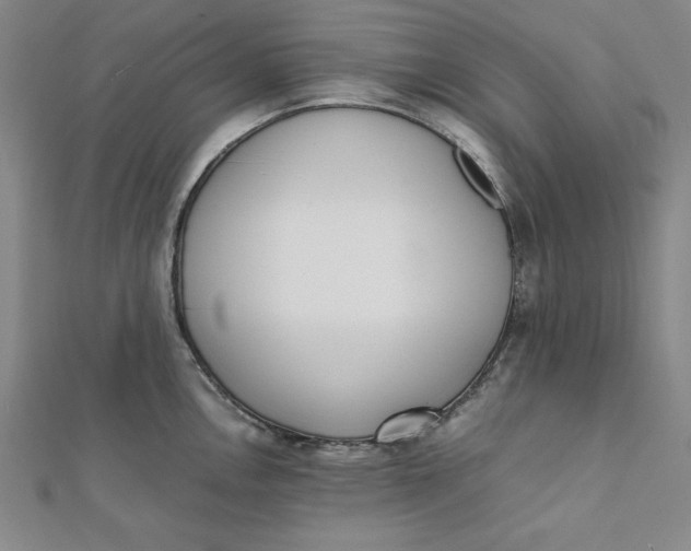 X0000112051146200908250952