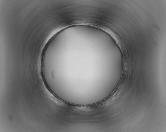 X0000112051147200908250952