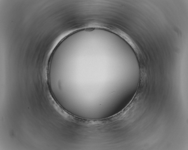 X0000112051148200908250952