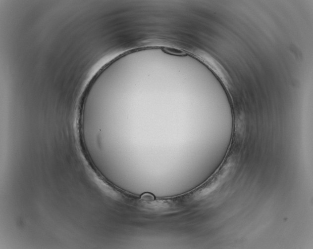 X0000112051149200908250952