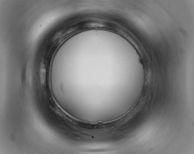 X0000112051151200908250952