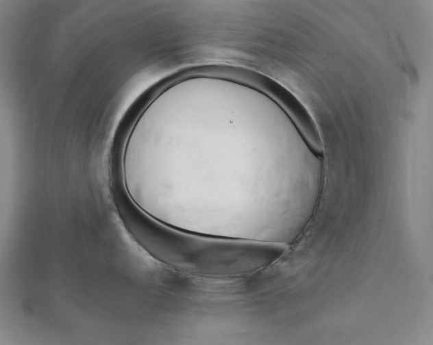 X0000112051152200908250952