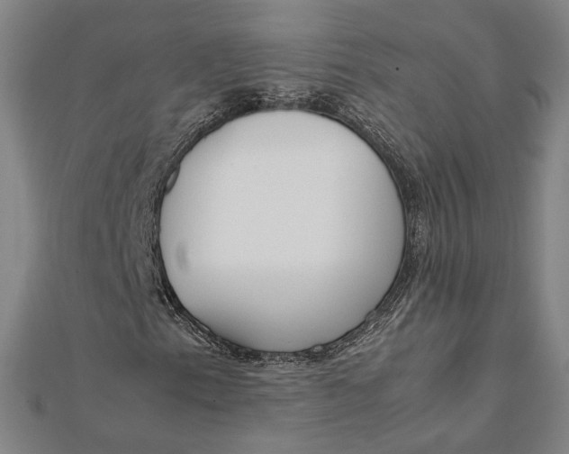 X0000112051153200908250952