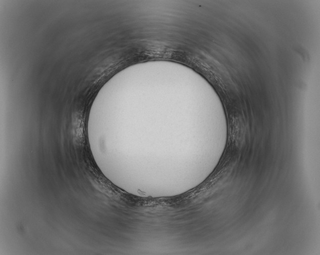 X0000112051154200908250952