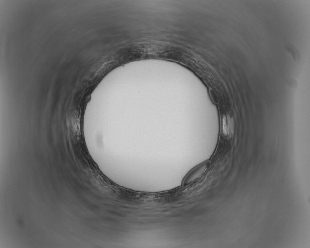 X0000112051155200908250952