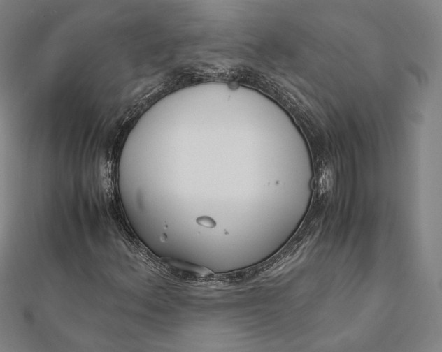 X0000112051156200908250952