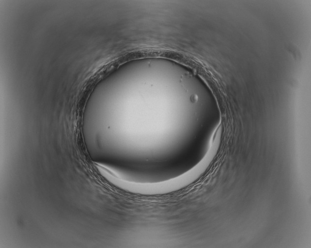 X0000112051157200908250952