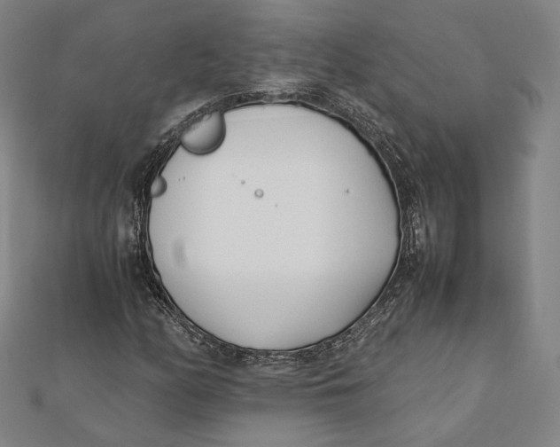 X0000112051158200908250952