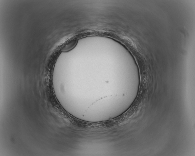 X0000112051159200908250952