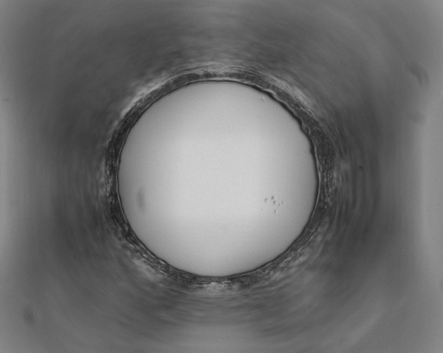 X0000112051160200908250952